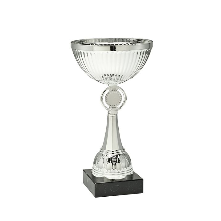 Traditionele zilveren trofee Traditionele zilveren trofee
