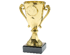 Gouden Mini Trofee Super Budget – 13,5 cm