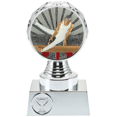 Trofee Vesta gymnastiek heren