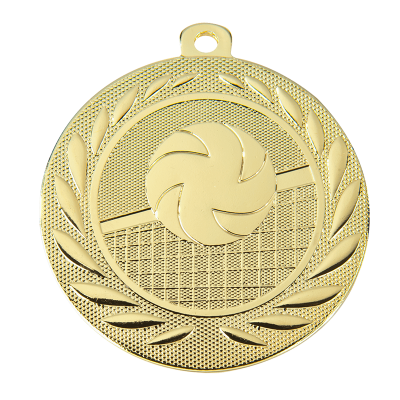 Medaille London volleybal
