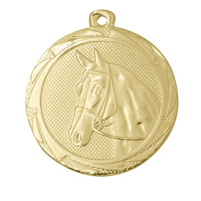 Paarden medaille