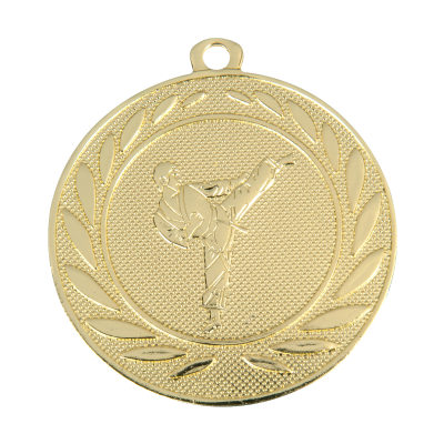 Karate medaille