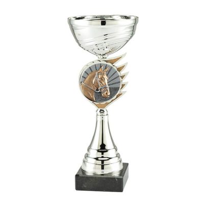 Paardensport trofee paardensport
