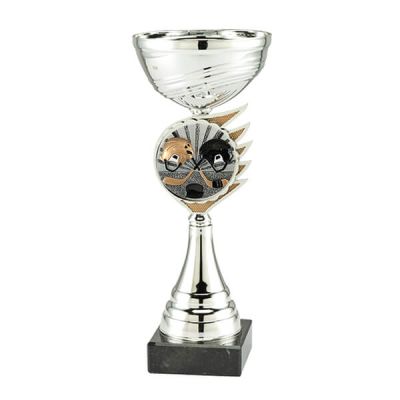 Trofee ijshockey