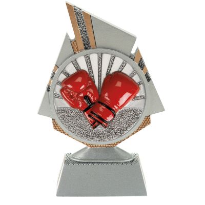 Beeld boksen - voor kampioenen