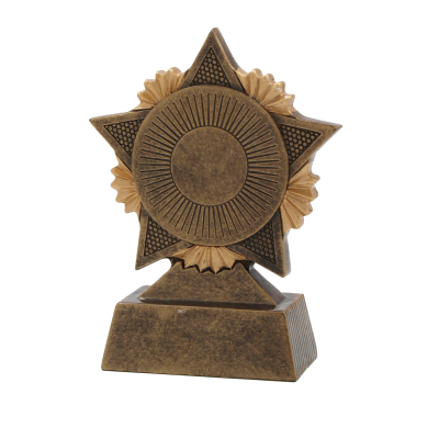 Beeld Ster - voor kampioenen