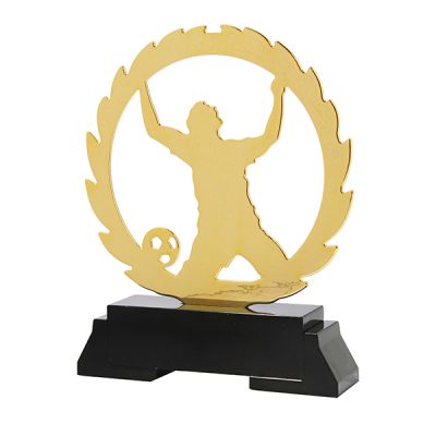 Standaard voetbal - voor prijsuitreiking