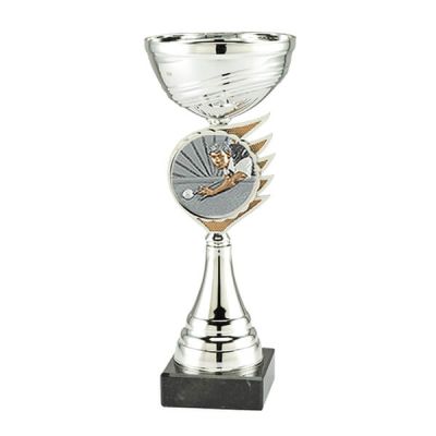 Trofee biljart