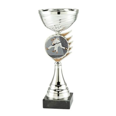 Judo trofee judo