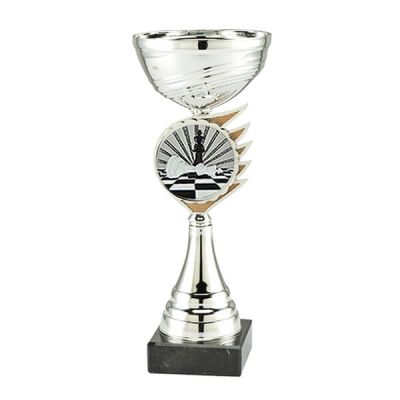 Trofee schaken