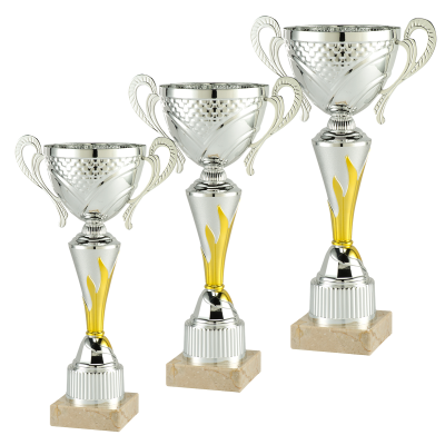 Frans Voordeelpakket trofeeën serie met drie zilveren/gouden trofeeën 26 45 cm