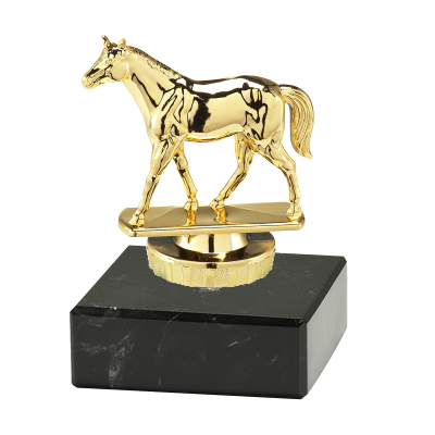 Paardensporttrofee Alex – gouden prijs voor ruiters