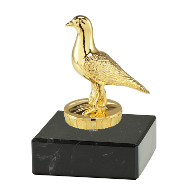 Duivensporttrofee Alex – gouden prijs voor duivensport