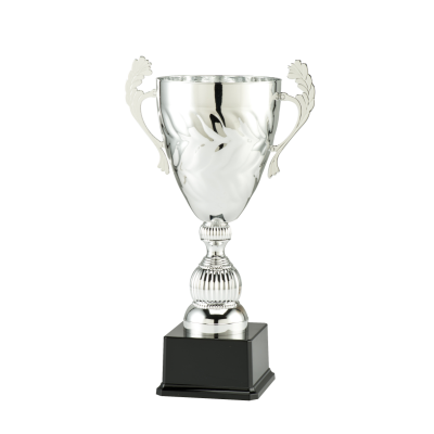Torrie trofee in zilver - vanaf 28,5 cm