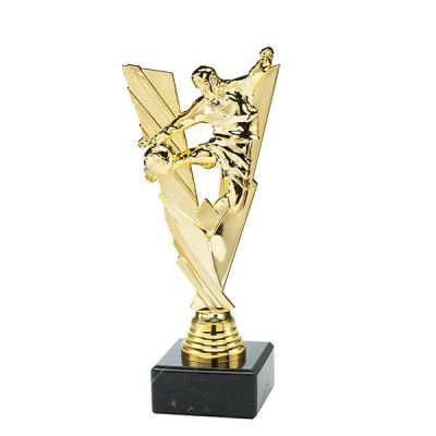 Trofee Vick voetbal