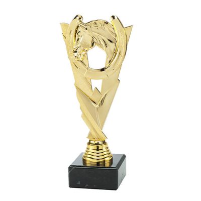 Trofee Vick paardensport