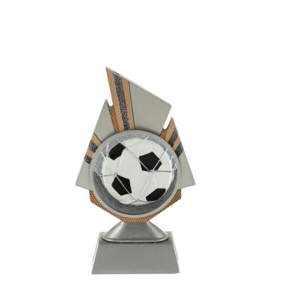 Beeld voetbal - met eigen tekst