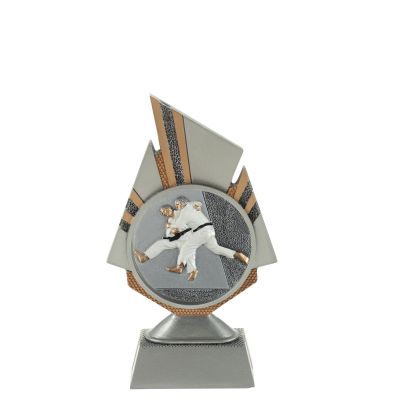 Beeld Judo - voor prijsuitreiking