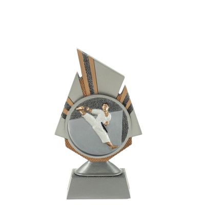 Beeld karate - met gravering