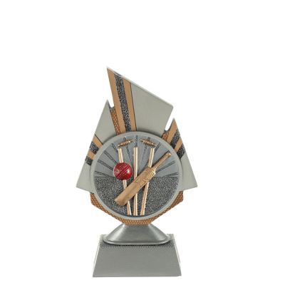 Beeld cricket - met gravering