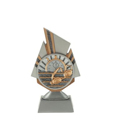 Beeld zwemmen 2 - voor kampioenen