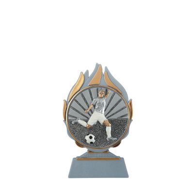 Trofee Vlammen voetballer