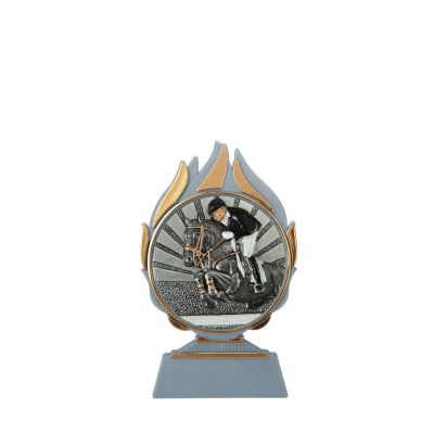 Trofee Vlammen paardensport 2