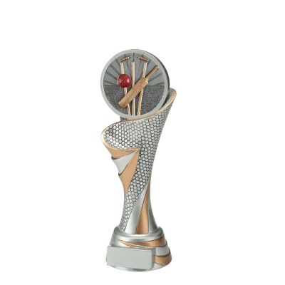 Beeld cricket - voor prijsuitreiking