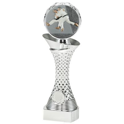 Beeld judo - personaliseerbaar