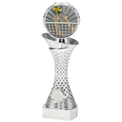 Beeld volleyball - voor kampioenen (BTG.BTUK1304)