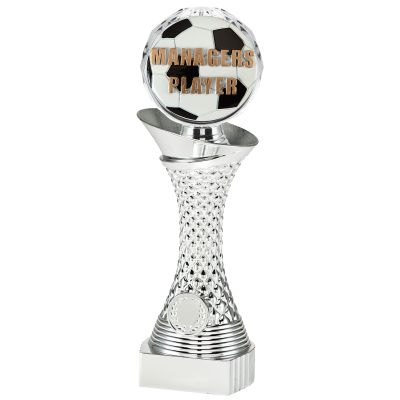Beeld managers player - voor prijsuitreiking (BTG.BTUK1331)